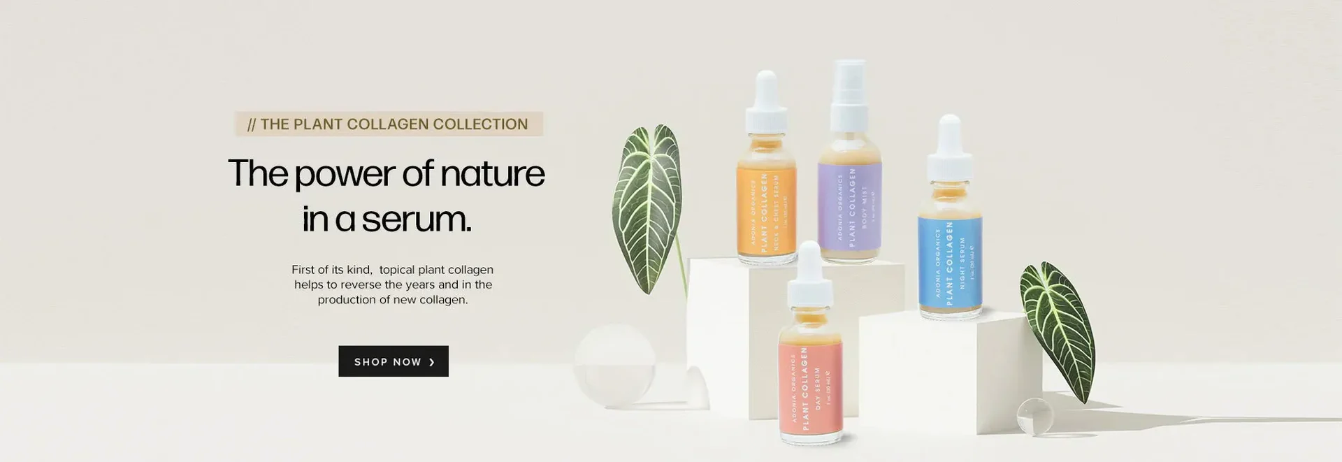 Ageless Beauty, Naturally Defined